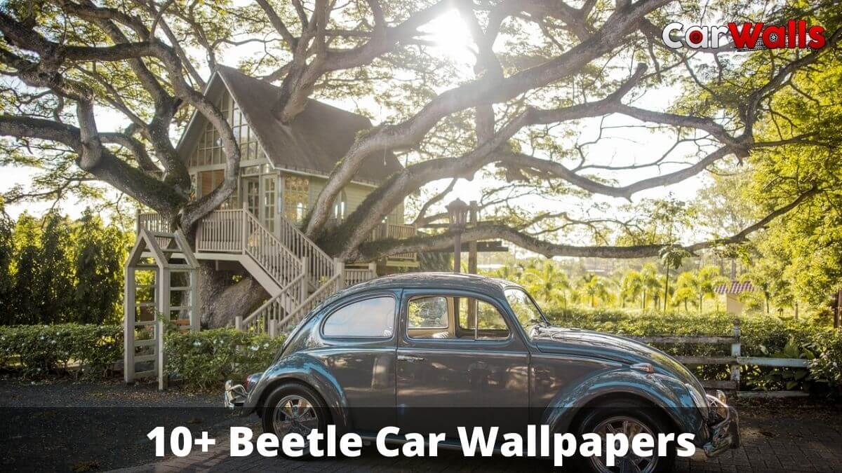 Beetle Car Wallpapers