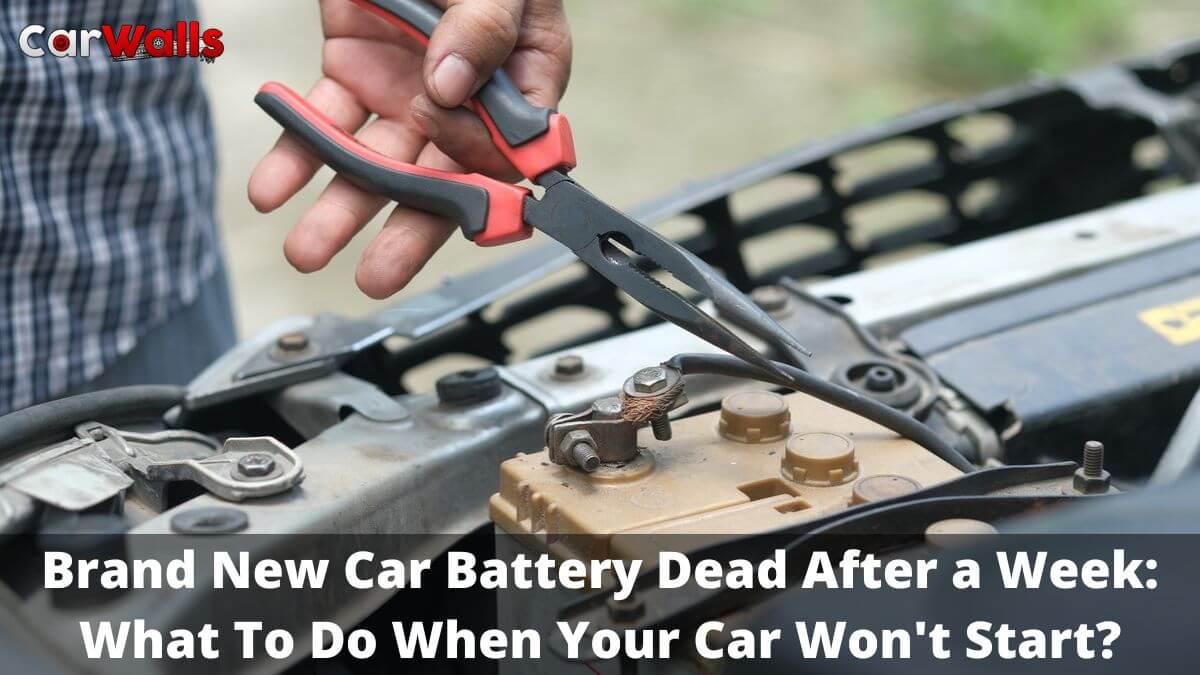 Brand New Car Battery Dead After a Week
